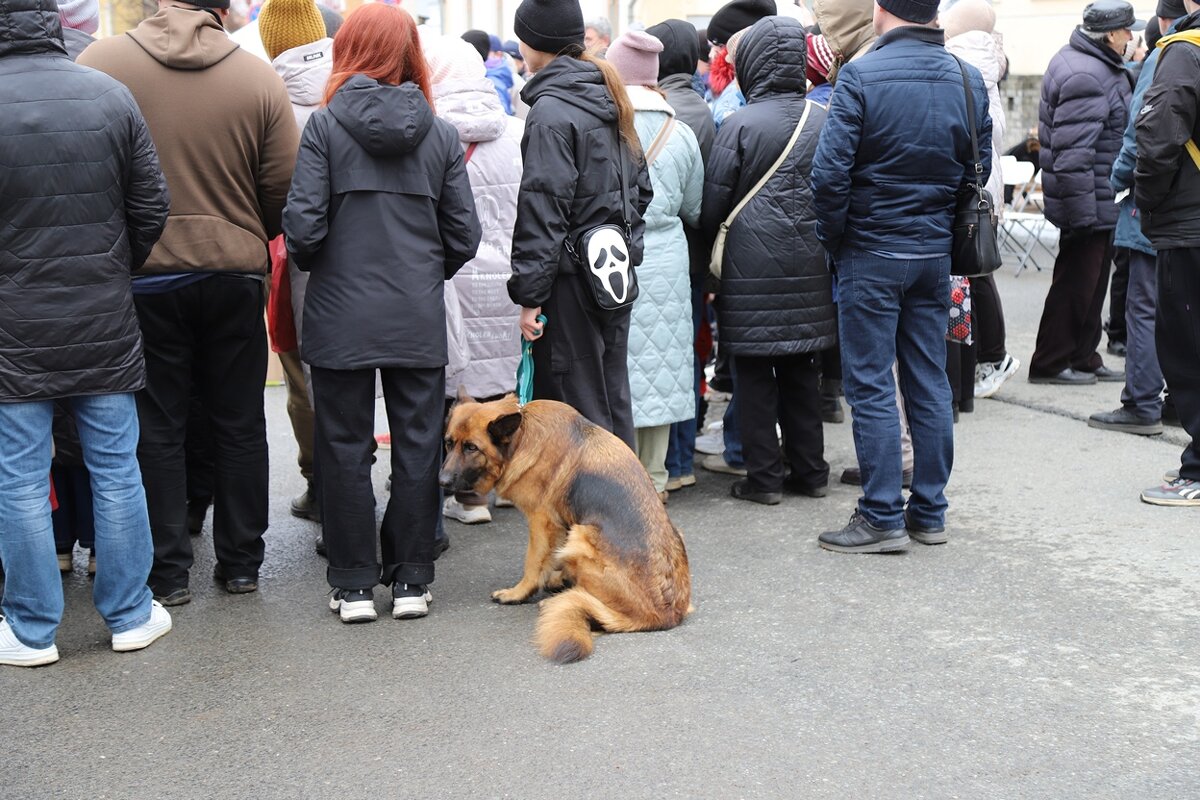 и что им там  так интересно - Владимир иванов