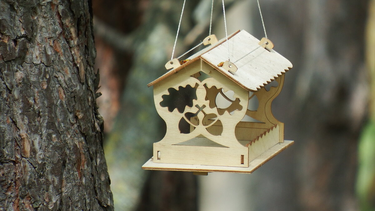 Ажурный домик- кормушка . - Вик Токарев Ажурный домик- кормушка . - Вик Токарев