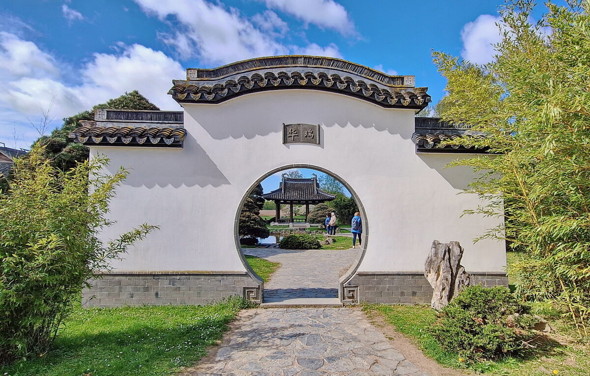 Весной в китайском садике - Андрей K.