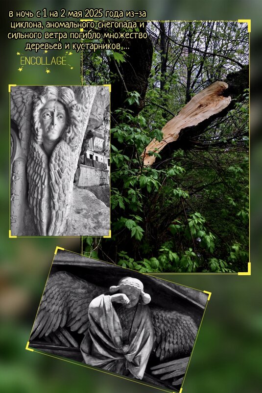 В память о погибших немых зелёных друзьях… - Любовь 