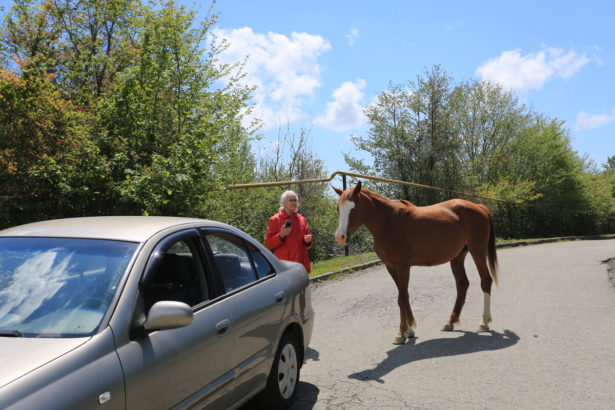 Дорожный патруль - Валерий Дорожный патруль - Валерий