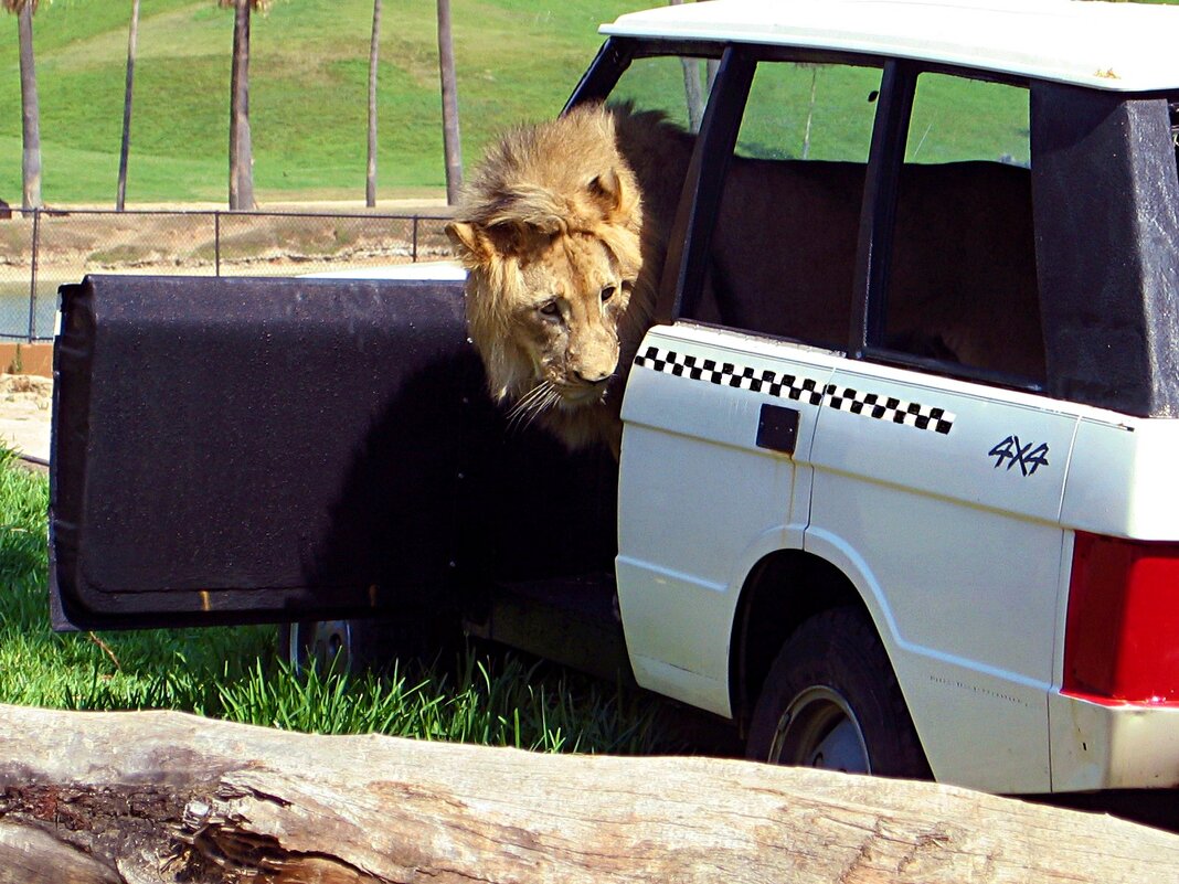 Кто заказывал на Дубровку? - Владимир Никольский (vla 8137) Кто заказывал на Дубровку? - Владимир Никольский (vla 8137)