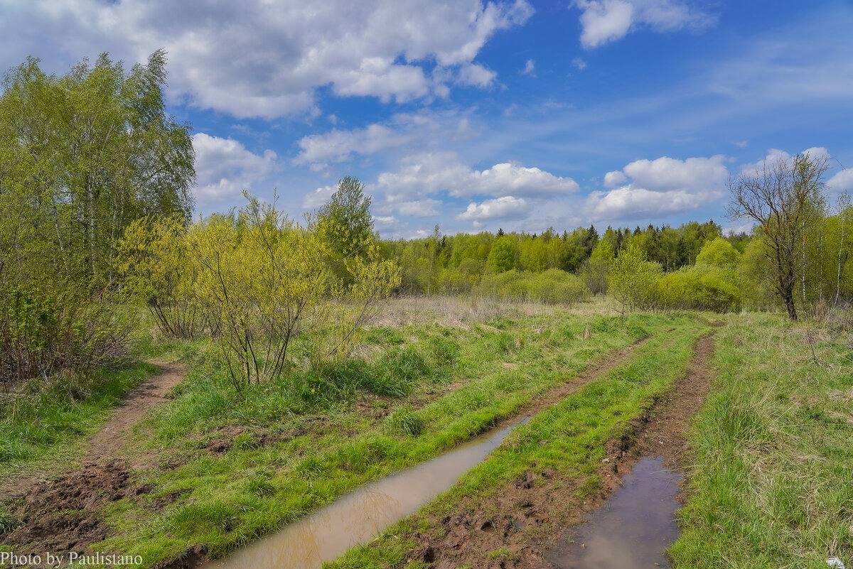 Палитра мая... - Владимир Жданов Палитра мая... - Владимир Жданов