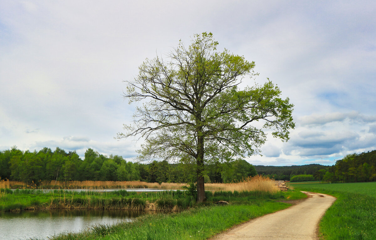 На природе - Waldemar F.
