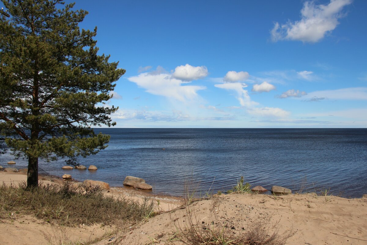 Ладожское озеро - Наталья Герасимова Ладожское озеро - Наталья Герасимова