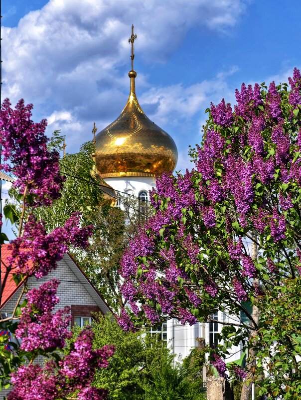 Купола Троицкого храма утопающие в сирени - Сергей 
