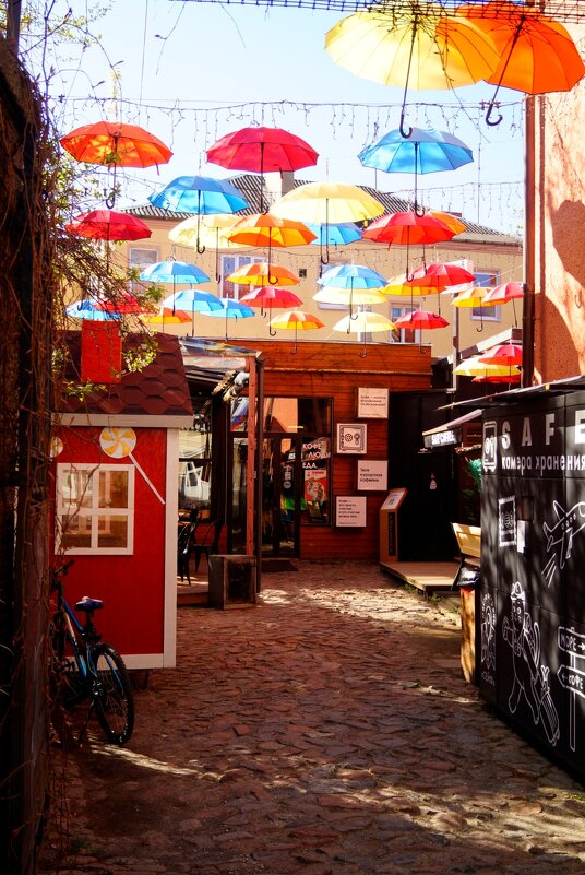 Зеленоградск - Tanya Nikorovskaya