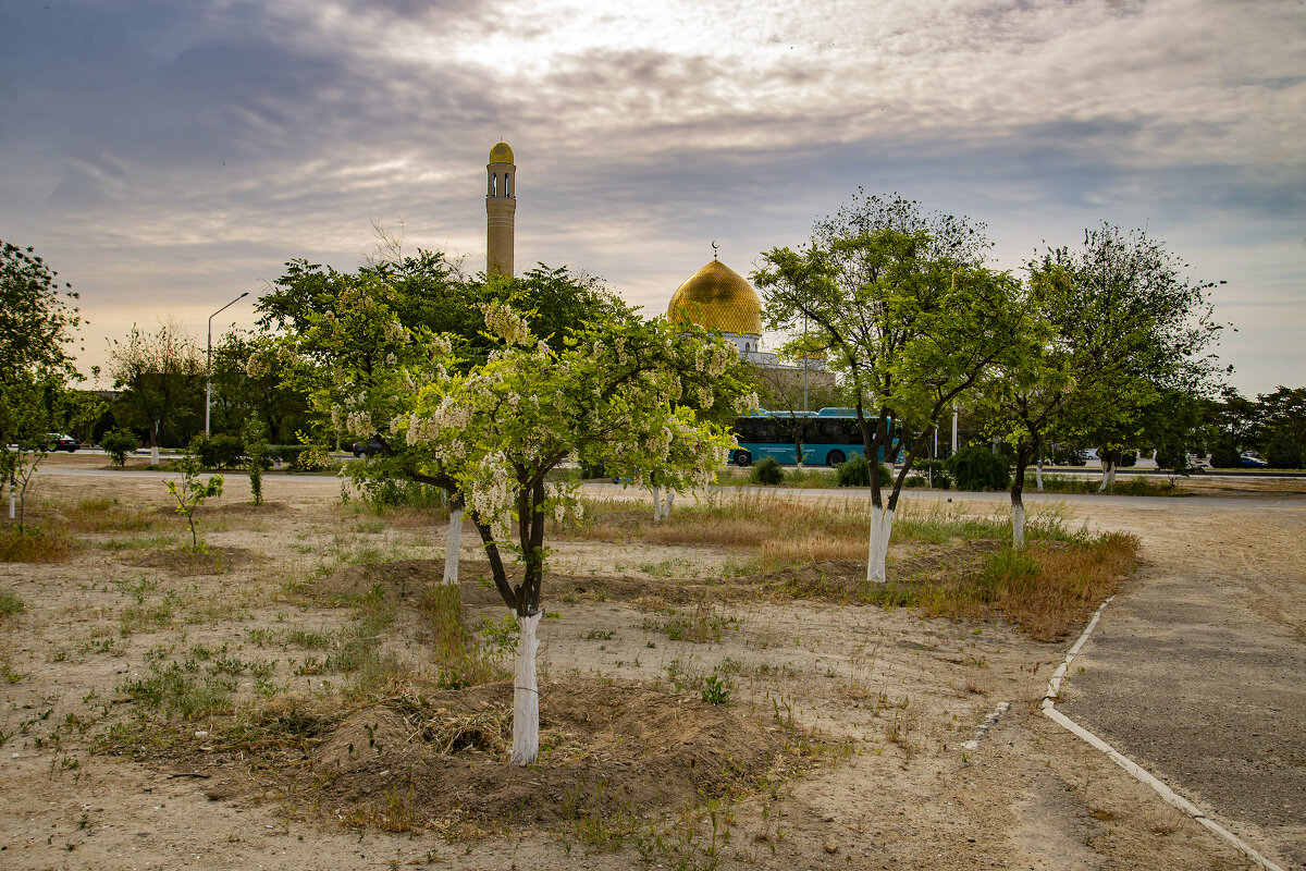 Май - Анатолий Чикчирный