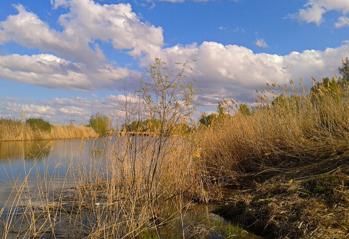 Майские облака. - сергей ермошкин Майские облака. - сергей ермошкин