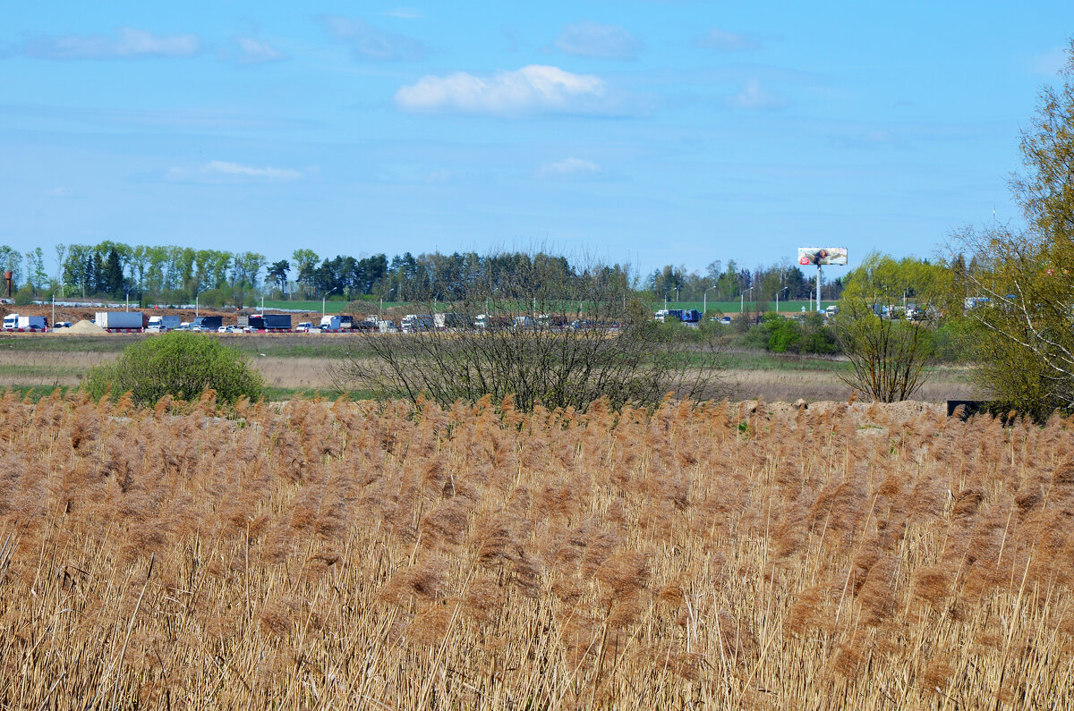 Московская область. г. Пушкино. Осетровая ферма. - Наташа ***** Московская область. г. Пушкино. Осетровая ферма. - Наташа *****