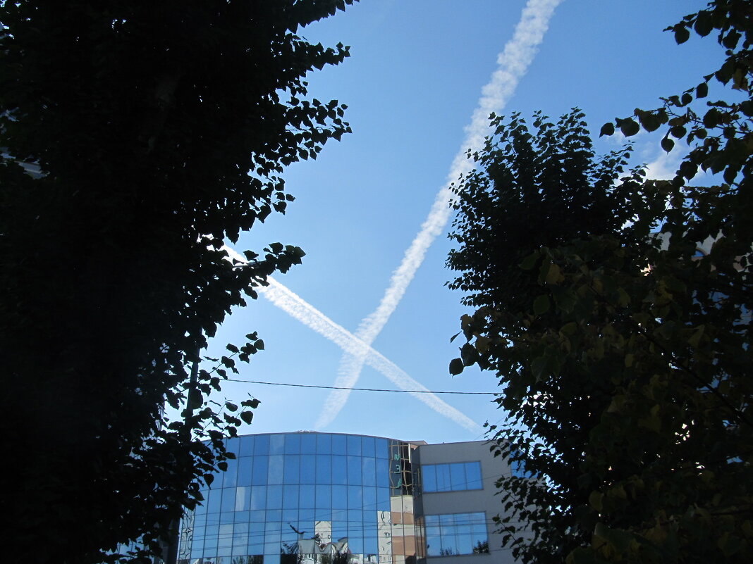 ПРО Екатеринбург - Елена Шаламова