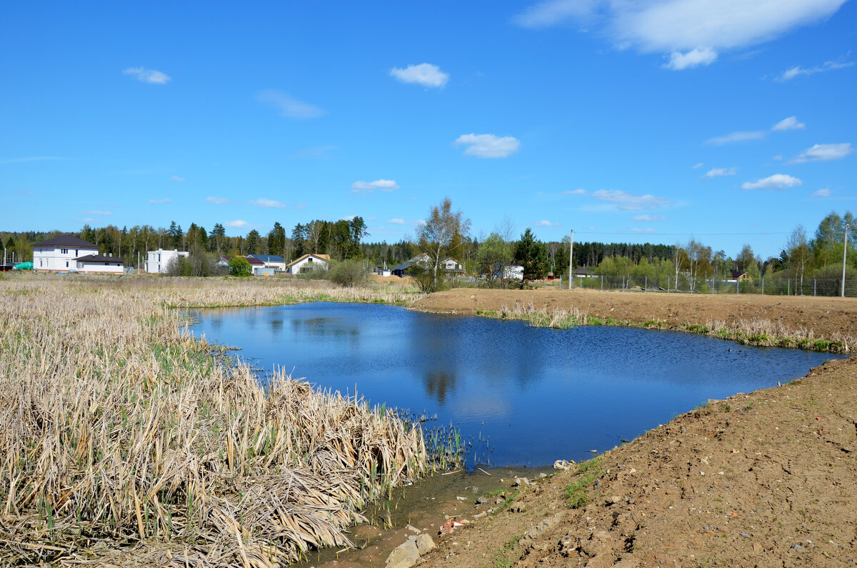 Московская область. г. Пушкино. Осетровая ферма. - Наташа ***** Московская область. г. Пушкино. Осетровая ферма. - Наташа *****