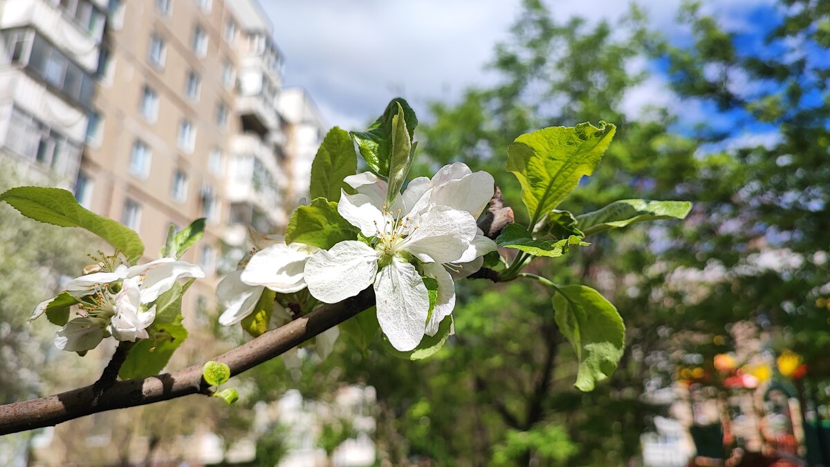 ,,, - Сергей Тимоновский