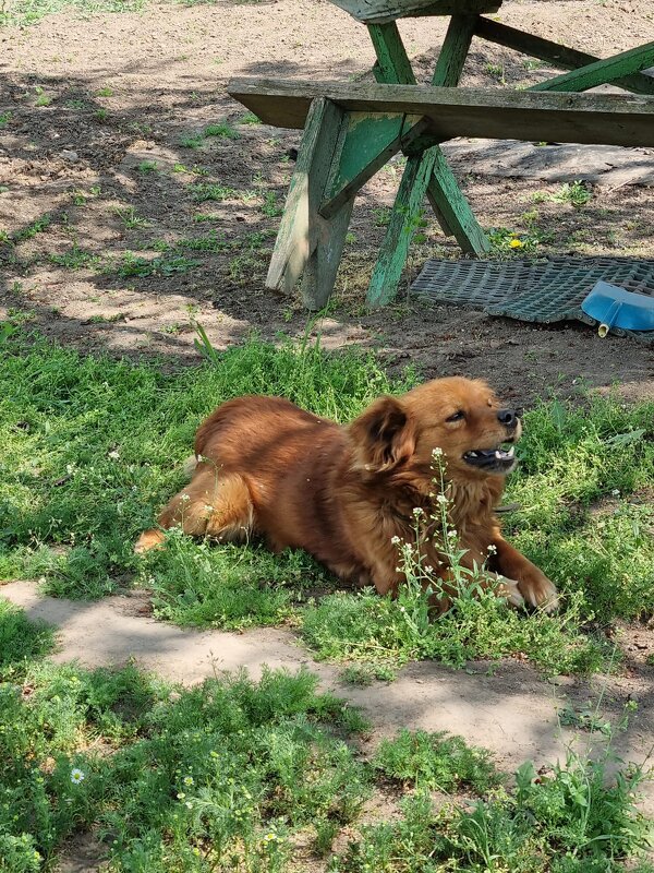 Хорошо-то как! :) - Наталья 