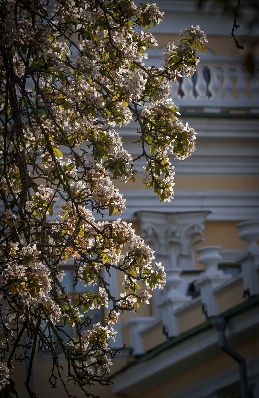 Парковый этюд (2) - Евгений Лимонтов Парковый этюд (2) - Евгений Лимонтов