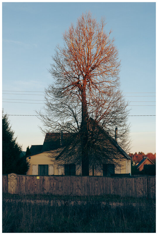 *** - someone somewere