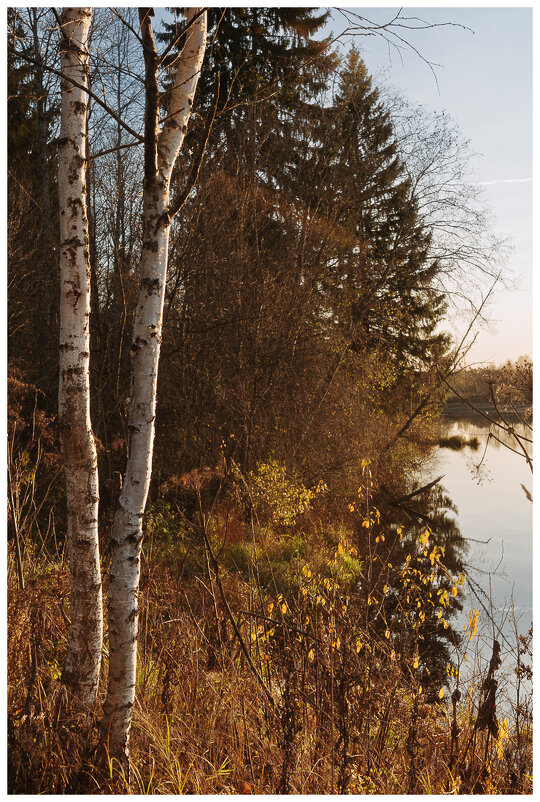 *** - someone somewere