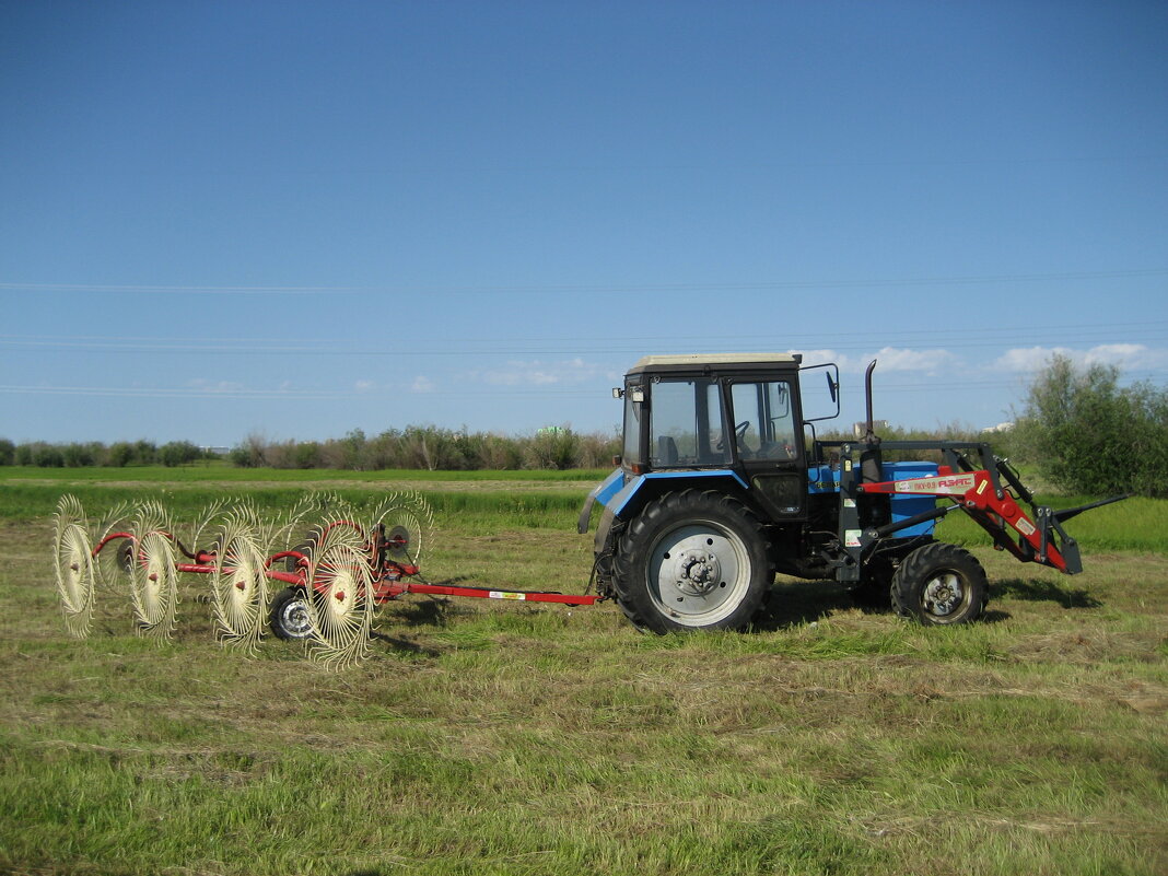 Сенокосная пора - Anna Ivanova Сенокосная пора - Anna Ivanova