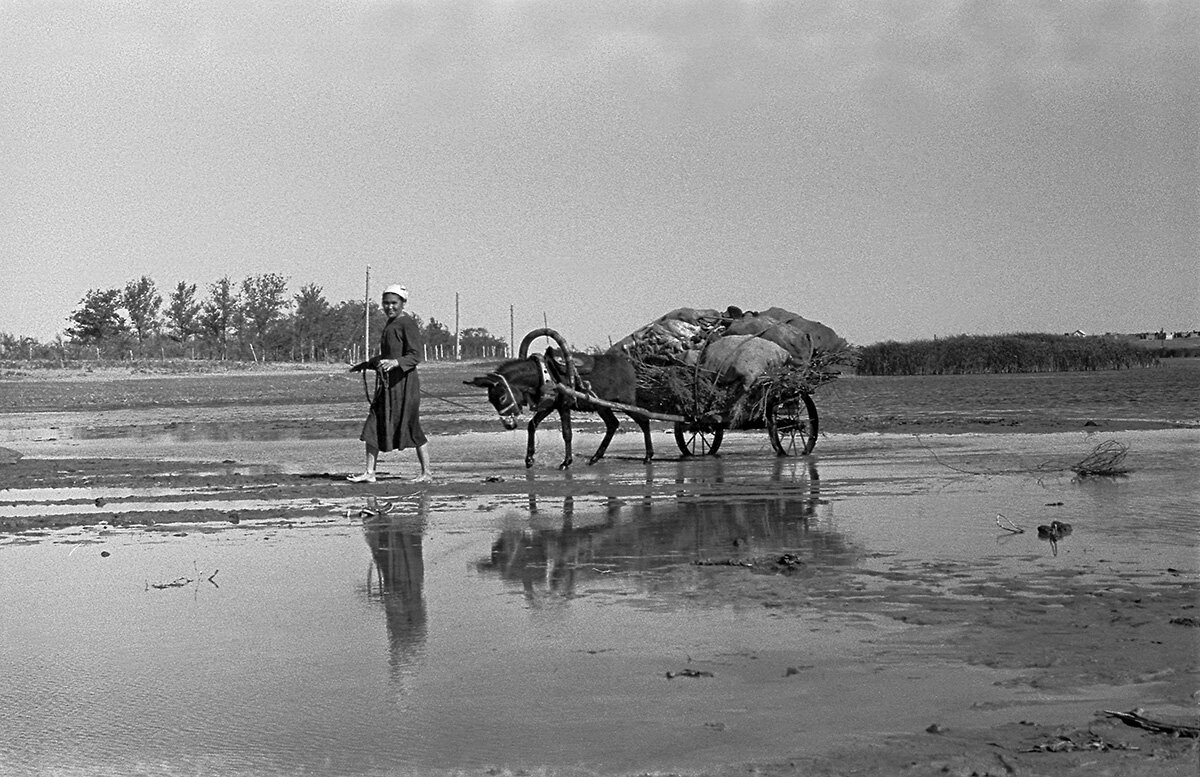 CCCР. Куня-Ургенч. - Игорь Олегович Кравченко