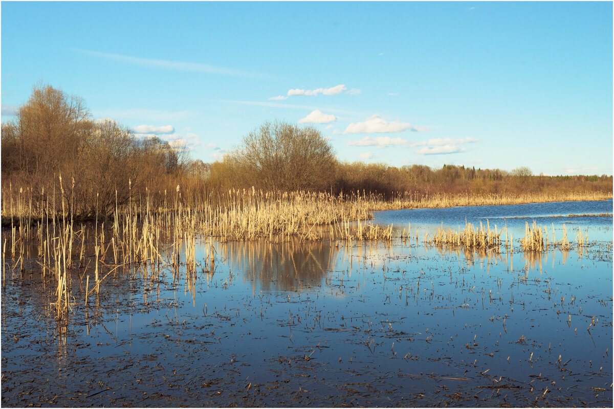 Весенний этюд - Валентин Котляров