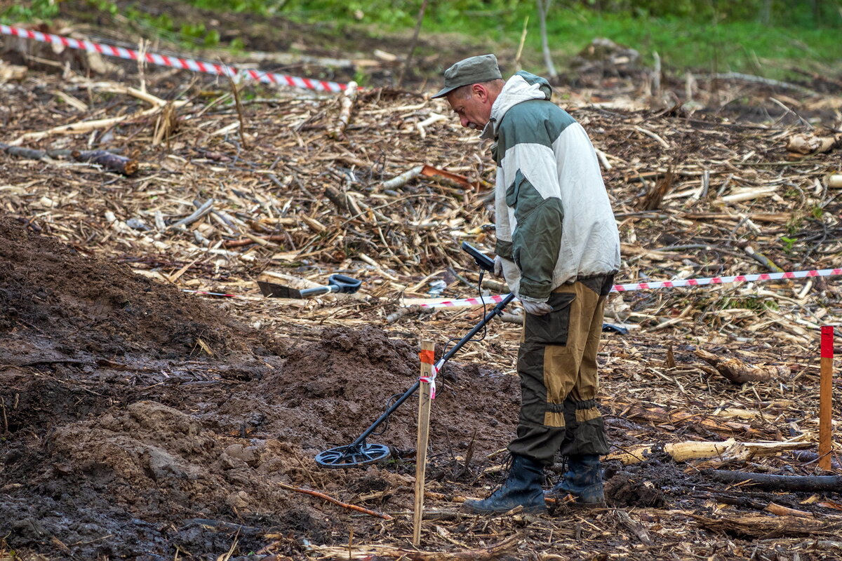 *** - Анатолий. Chesnavik.