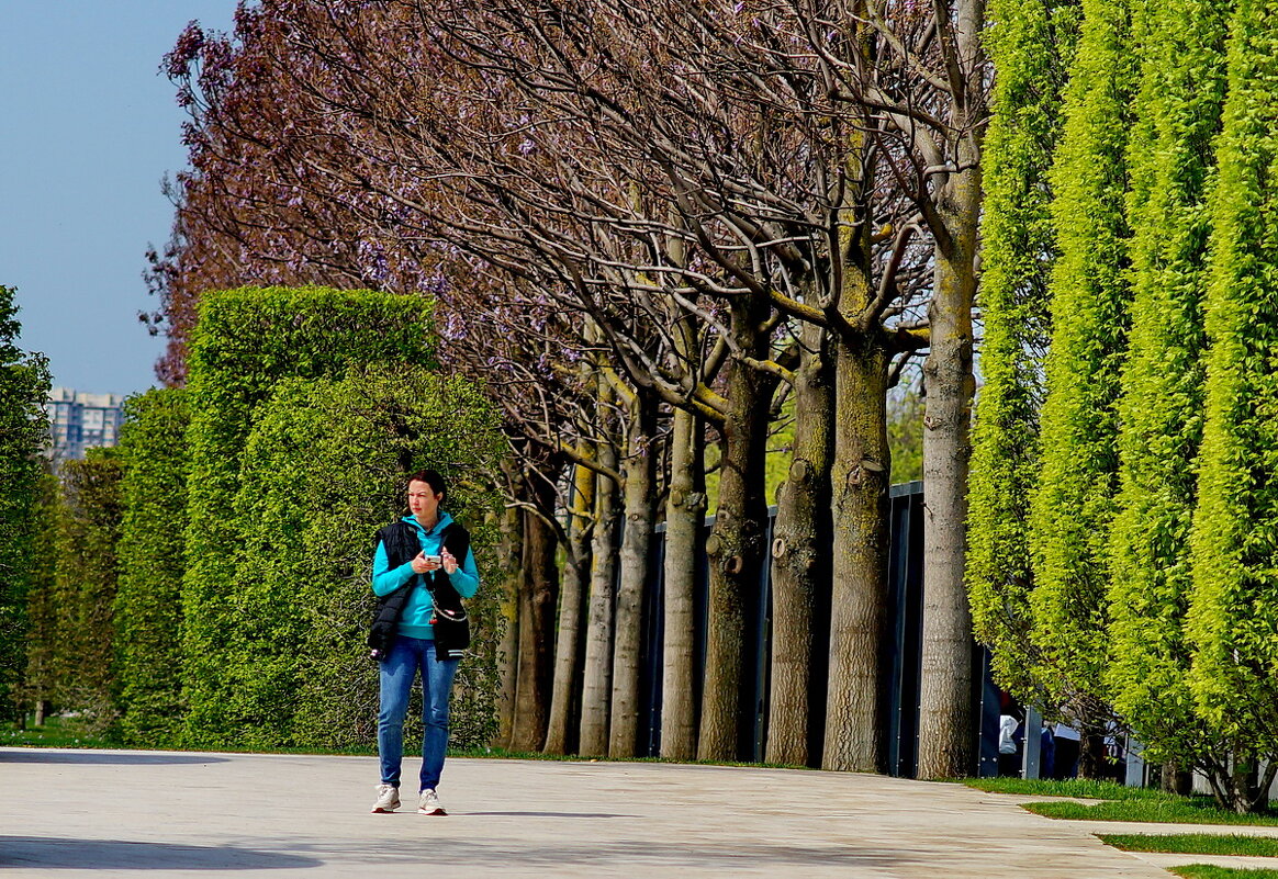В парке Краснодар " - Николай Саржанов В парке Краснодар " - Николай Саржанов