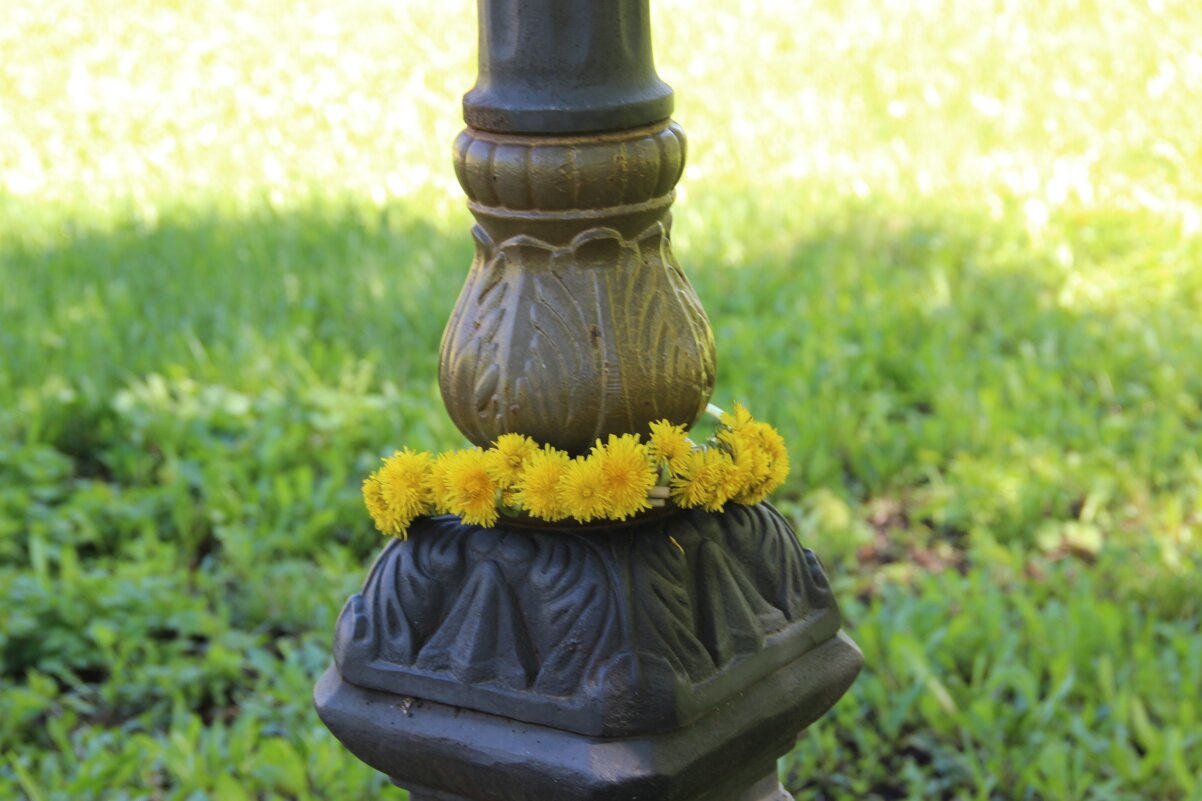 Май. - Венера Чуйкова