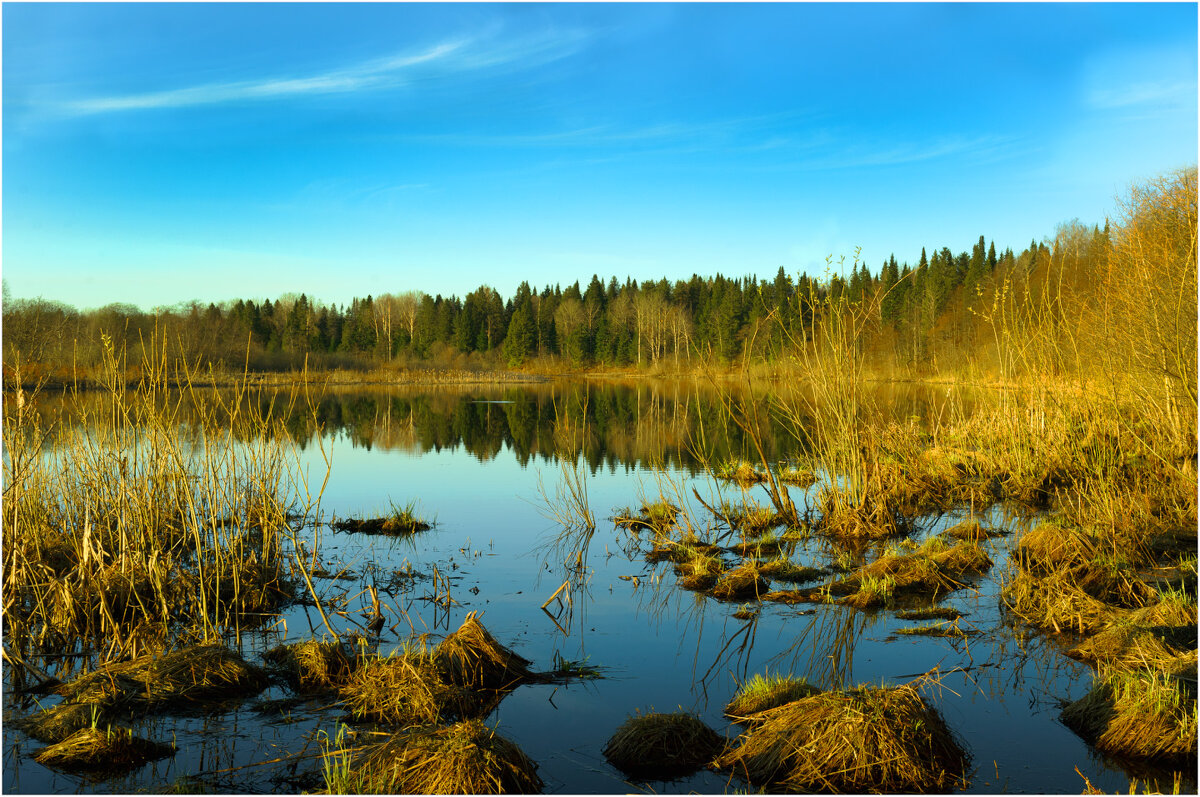 Майский вечер на озере Глушица - Валентин Котляров Майский вечер на озере Глушица - Валентин Котляров