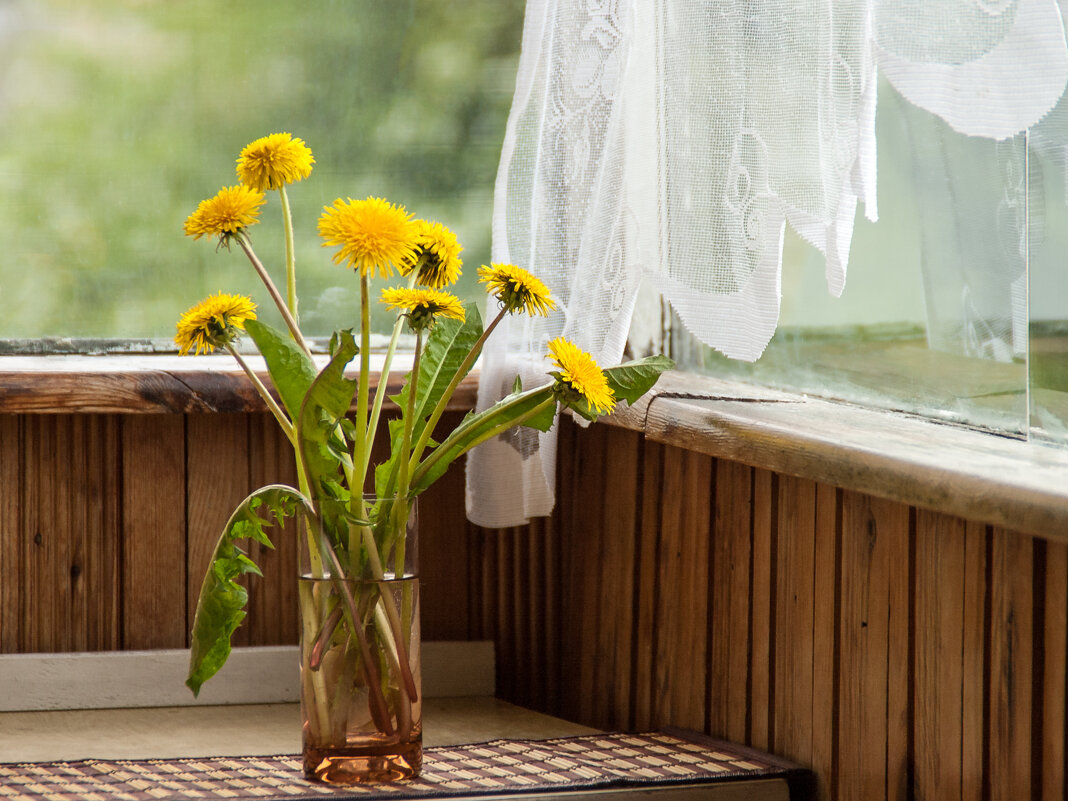 Одуванчики на балконе... - Елена Пономарева Одуванчики на балконе... - Елена Пономарева