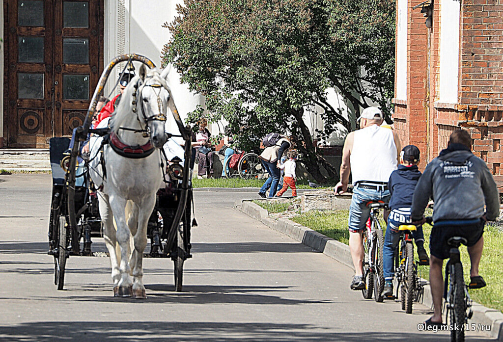 а оленя лучше - Олег Лукьянов а оленя лучше - Олег Лукьянов