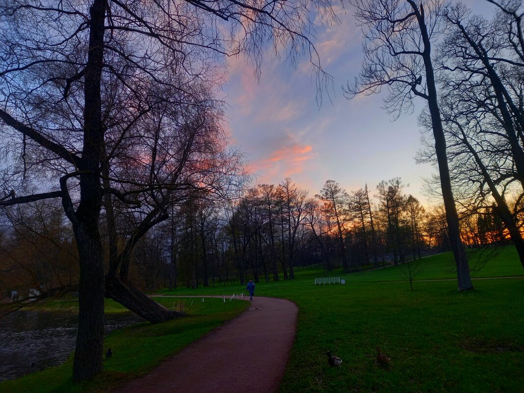 Закат - Сапсан 