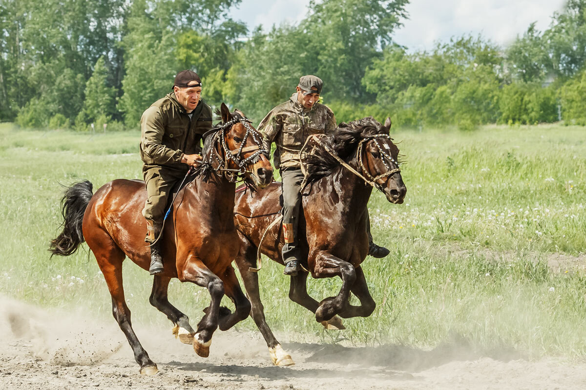 Скачки без сёдел на рабочих лошадях - SanSan 