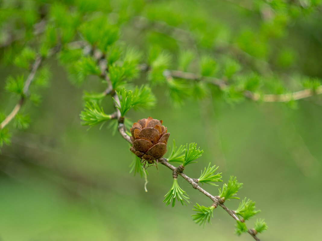 ___ - Yuriy V ___ - Yuriy V