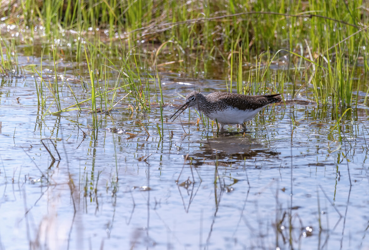 ЧТО ЭТО ТУТ ТАКОЕ ВКУСНЕНЬКОЕ? - Володька Завитушкин