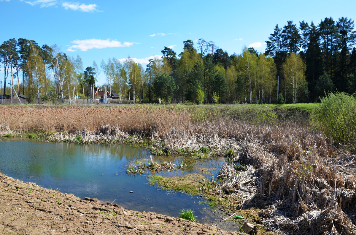 Московская область. г. Пушкино. Осетровая ферма. - Наташа *****