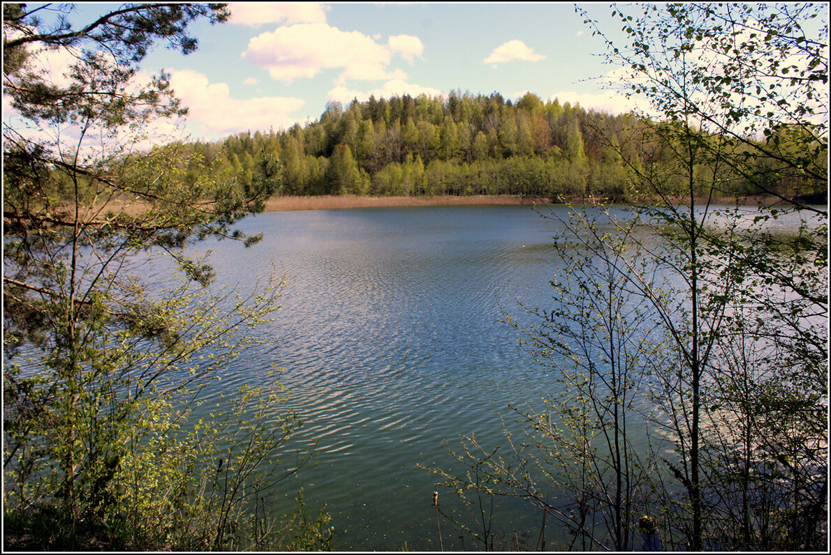 Весеннее озеро.... - Aleksandr Gal