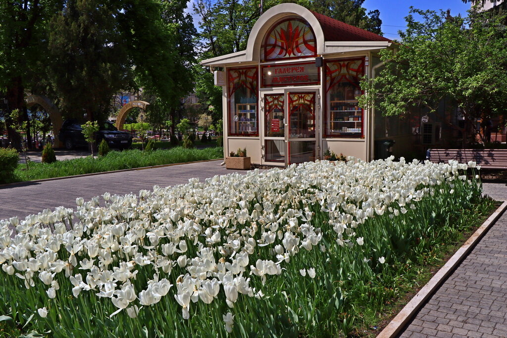 *** - Игорь Kуленко