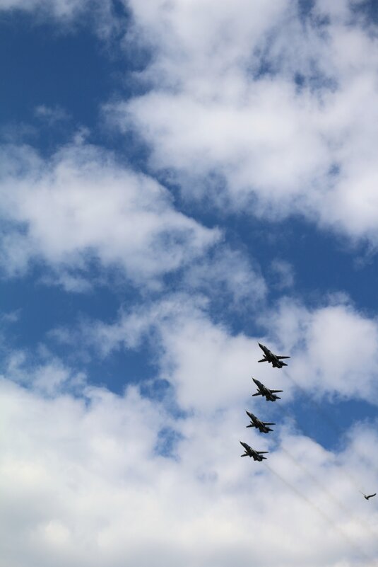 Репетиция парада - Ольга 