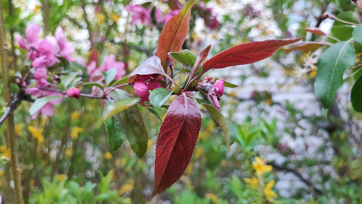 ,,, - Сергей Тимоновский