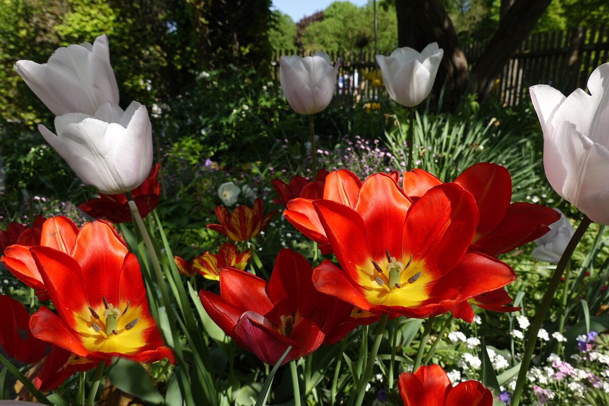 ... - Галина ... - Галина