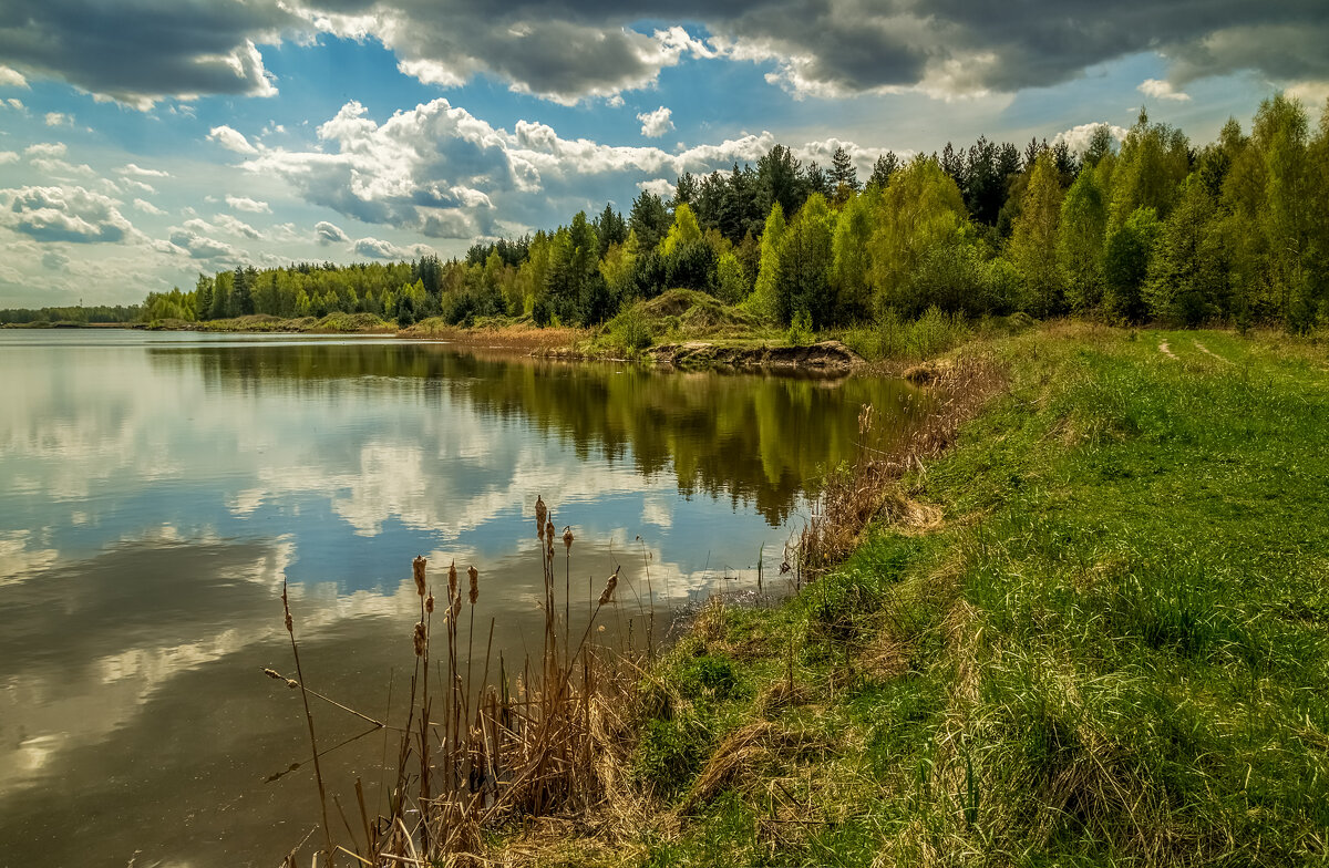 Майское утро V - Андрей Дворников Майское утро V - Андрей Дворников
