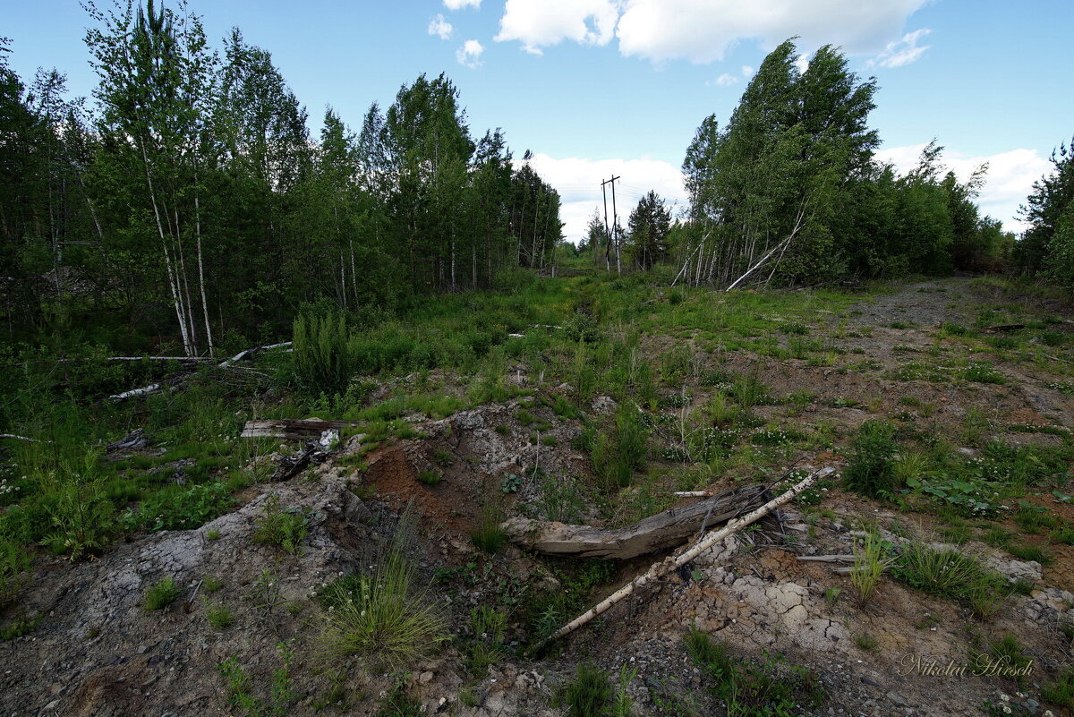 Раны затягиваются... - Николай Гирш