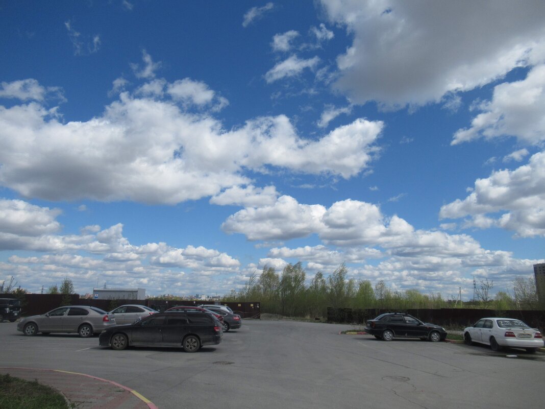 Сегодня облачно и ветер - Андрей Макурин