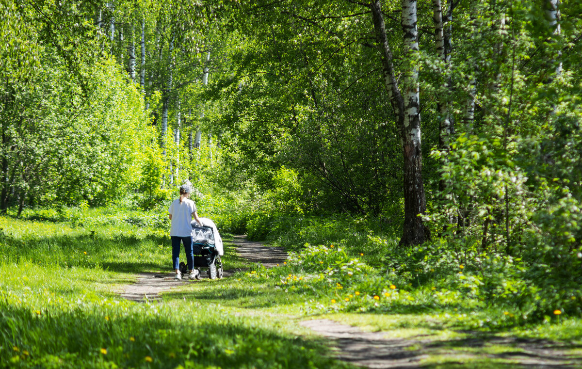 Прогулка на природе - Геннадий Фадеев