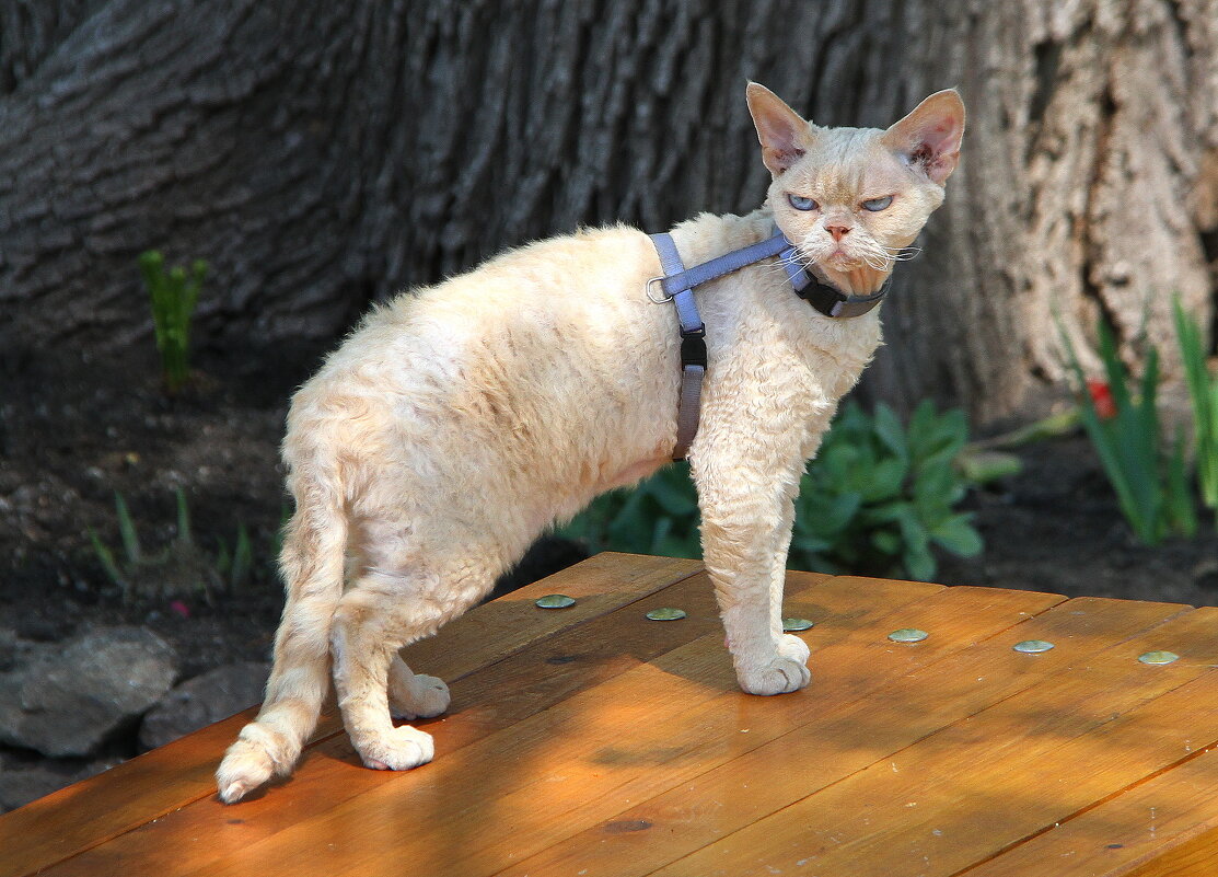 ** - Vlad Сергиевич ** - Vlad Сергиевич