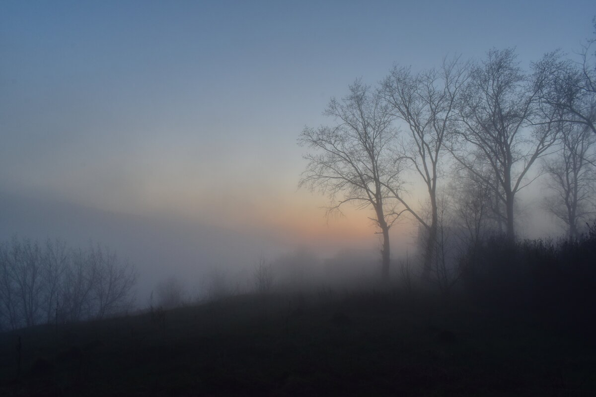 Вечерний туман на окраине - Роман Пацкевич