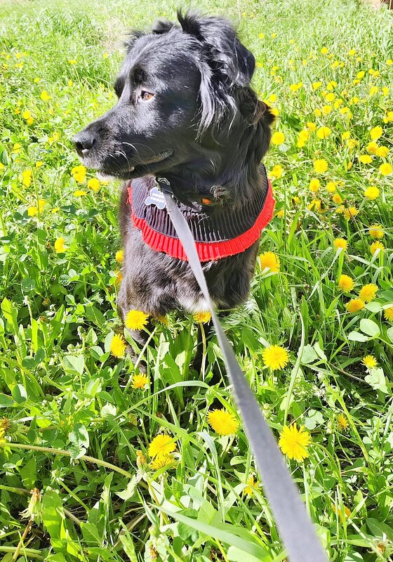 Ласка  кайфует ! - Мила Бовкун