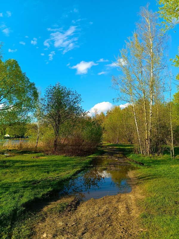 Май в Подмосковье - Леонид Иванчук