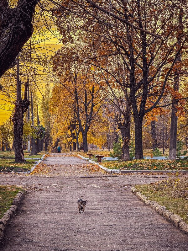 Вспоминая осень - Яна Горбунова