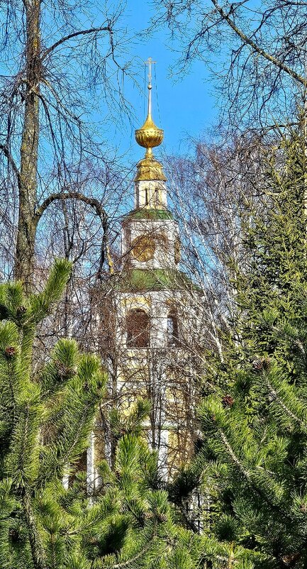 Углич. Спасо-Преображенский собор - Михаил Свиденцов